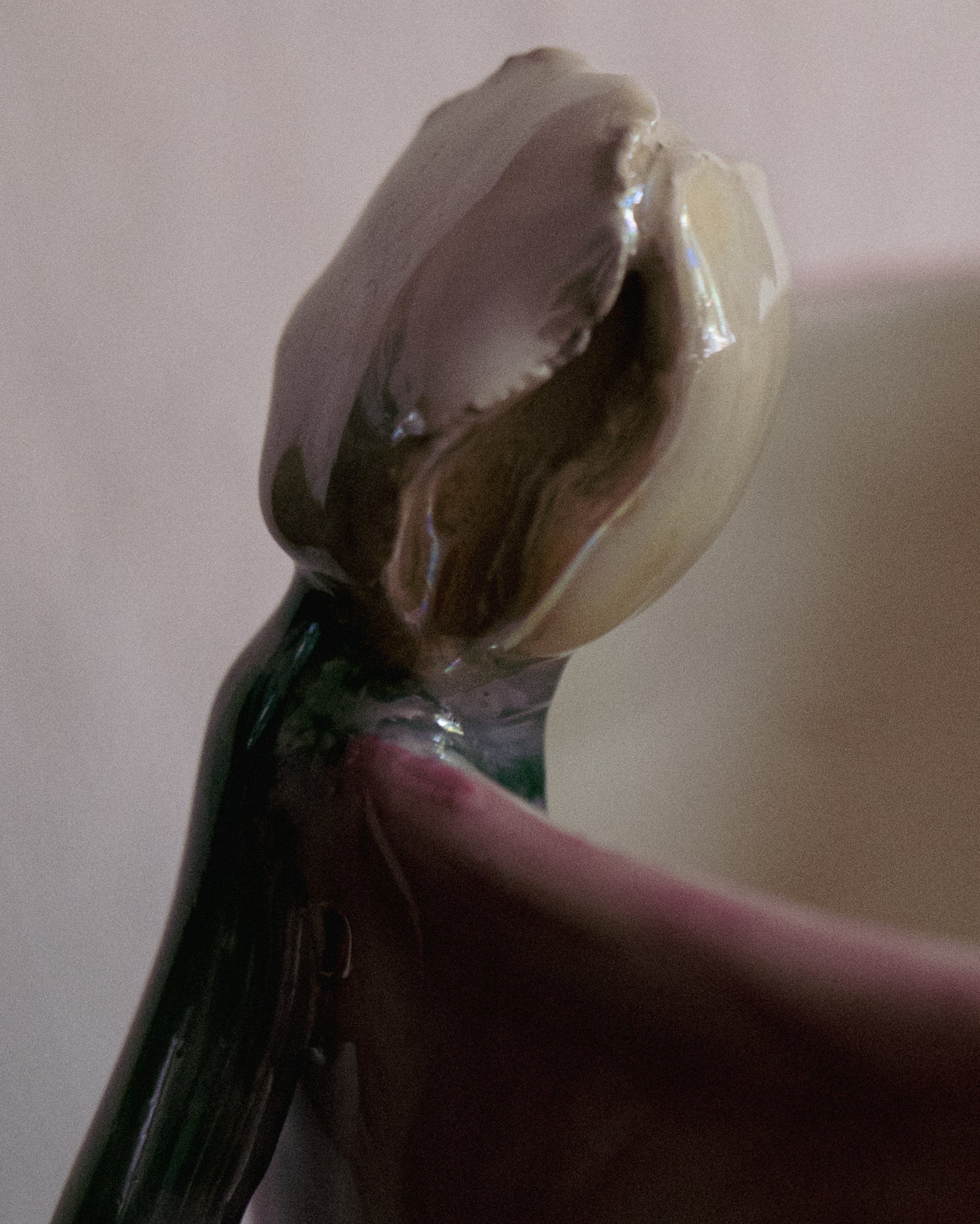 Vase "plus de tulipes svp".