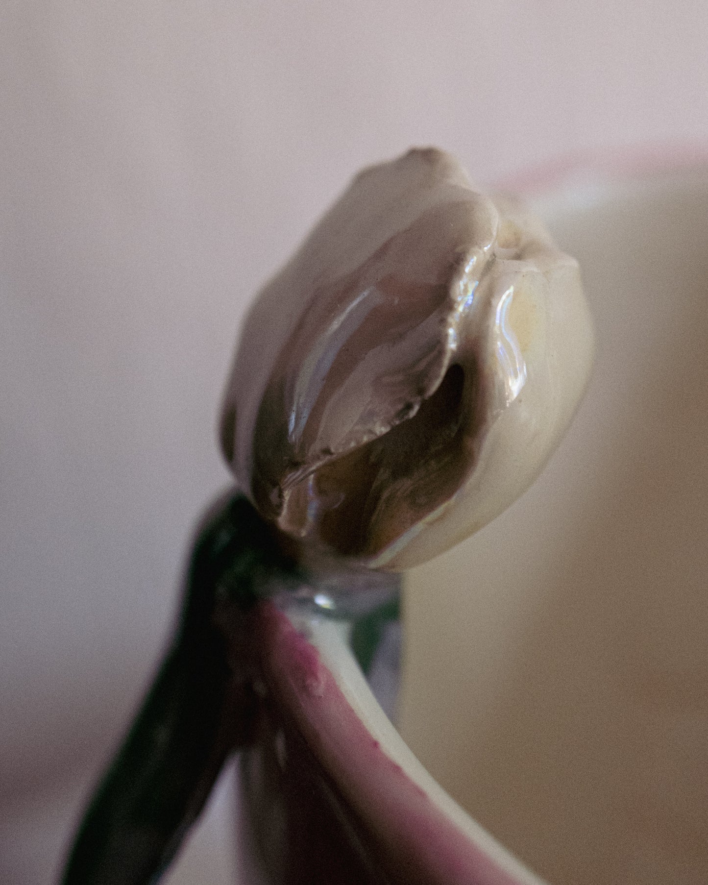 Vase "plus de tulipes svp".