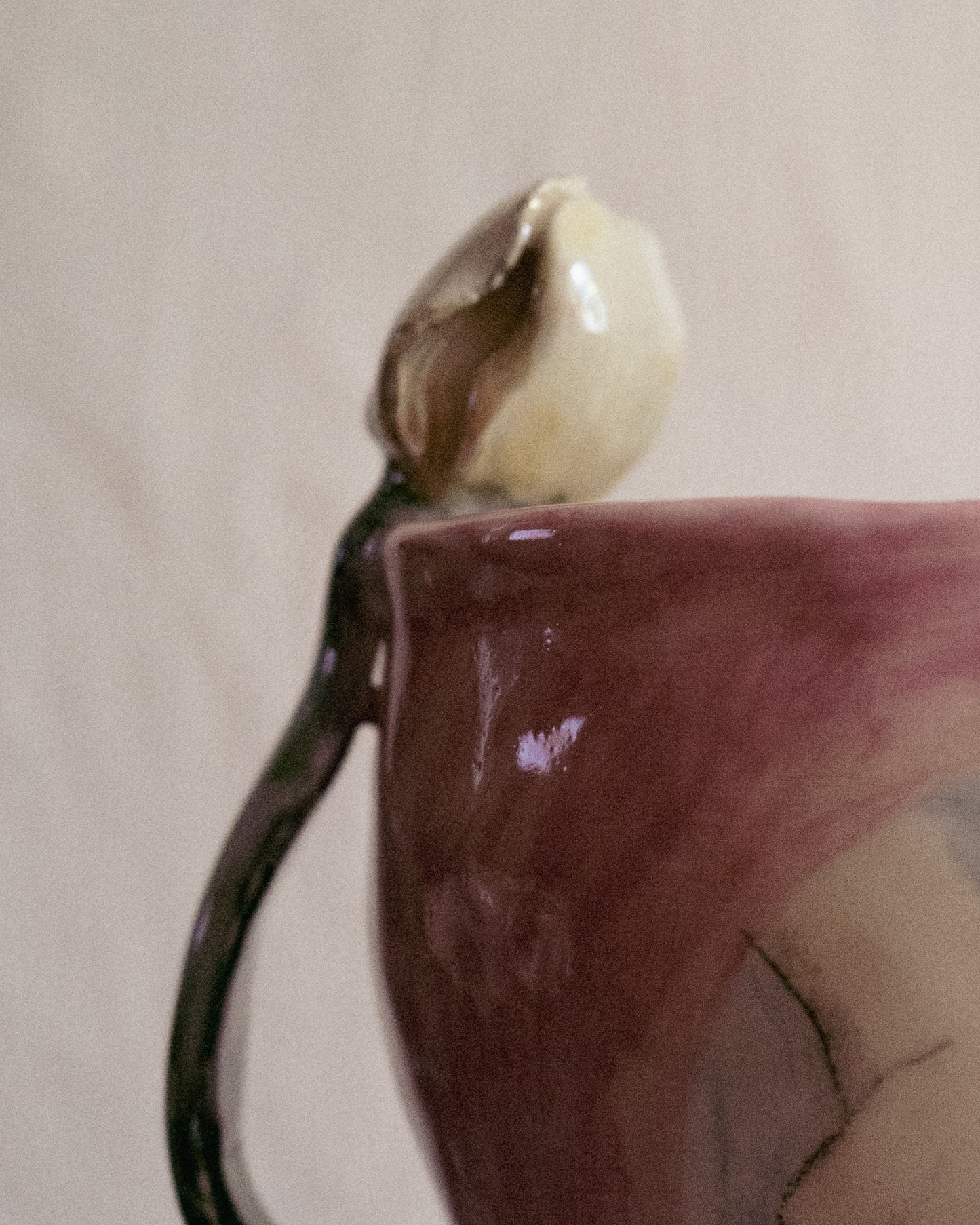 Vase "plus de tulipes svp".