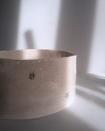 Pot "dormir sous les étoiles".