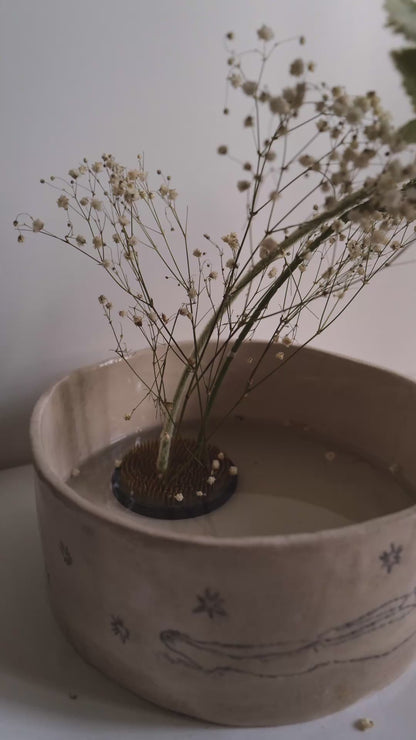 Pot "dormir sous les étoiles".